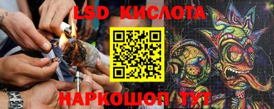 прущие грибы Ливны
