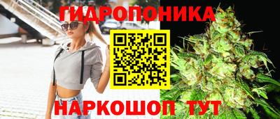 прущие грибы Ливны