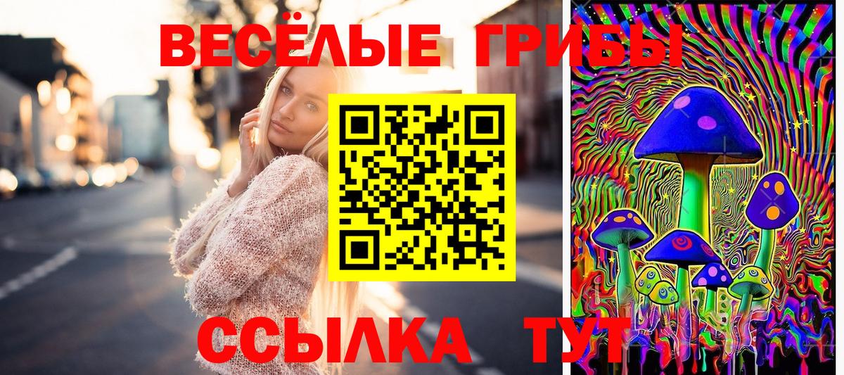 Галлюциногенные грибы MAGIC MUSHROOMS Торжок